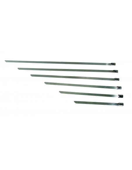 Collier Serrage Inox 4,6 X 250 Mm - Cap 60 Kg - 20 Pcs