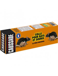 Generic Lot de 6 Panneaux de Colle pour Souris et Rats - Prix pas cher
