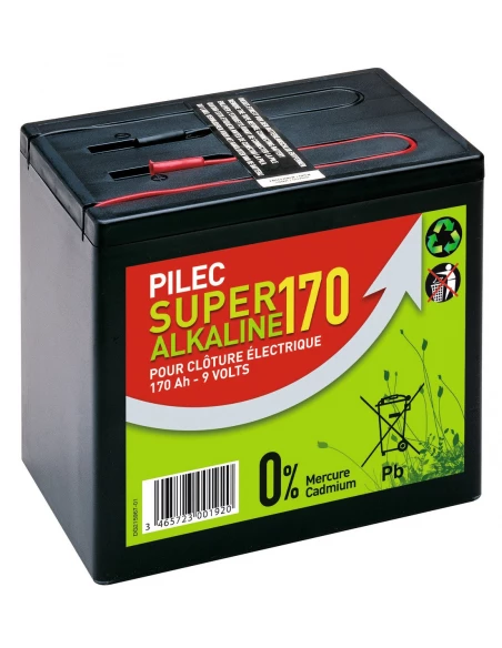 Piles et batteries pile alcaline 9 v 170 ah