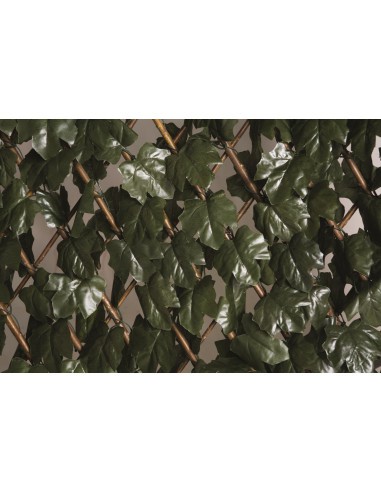 Treillis osier extensible à feuilles 1 x 2