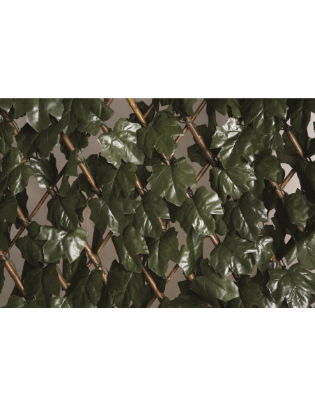 Treillis osier extensible à feuilles 1 x 2