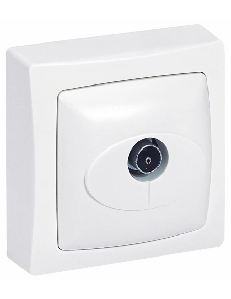 Les prises prise tv simple