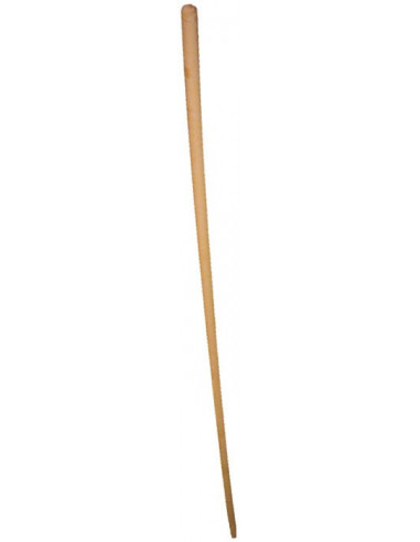 Manche Échenilloir BD Manche 3m, Bois, Diamètre 28mm - Capvert