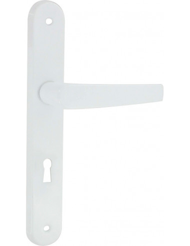 Poignée de porte aluminium époxy blanc AVORIAZ clé l -DT2000