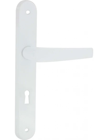 Poignée de porte aluminium époxy blanc AVORIAZ clé l -DT2000