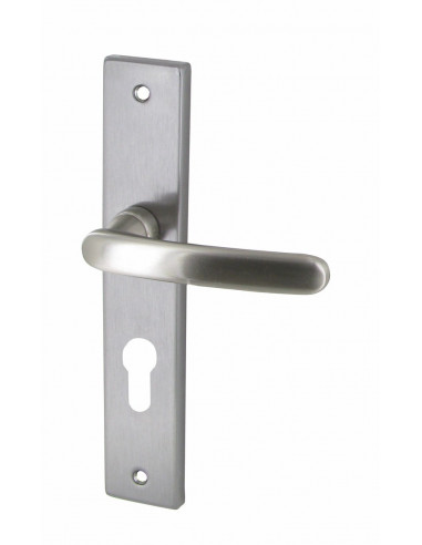 Ensemble Poignée Biar Nickel Satiné Poignée de porte en zamak, finition nickel satiné, pour cylindre. - DT 2000