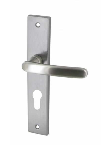 Poignée de porte zamak satinée biarritz clé i - cylindre - DT2000