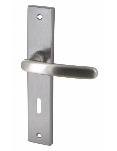 Poignée Biar à Clé ZAMAK Satiné Sécurité et style pour portes intérieures - DT 2000