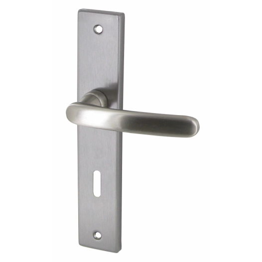 Poignée de porte zamak satinée biarritz clé l - DT2000