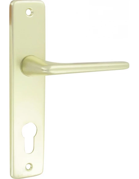 Ensemble aluminium anodisé champagne gets clé i - cylindre