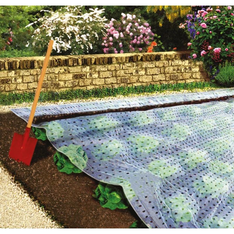 Film de forçage 10 x 2