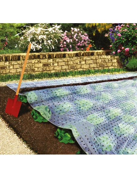 Film de forçage 10 x 2