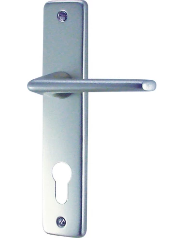 Poignée de porte GETS Clé I européen 165 mm argent alu - DT2000