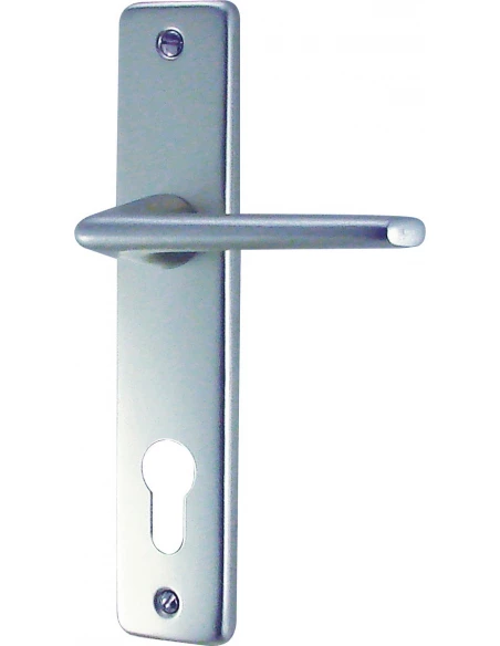 Poignée de porte GETS Clé I européen 165 mm argent alu - DT2000