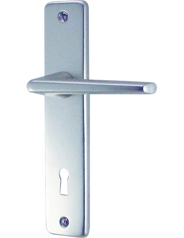 Ensemble poignée sur plaque aluminium argent 165 mm Clé L – GETS (DT 2000)