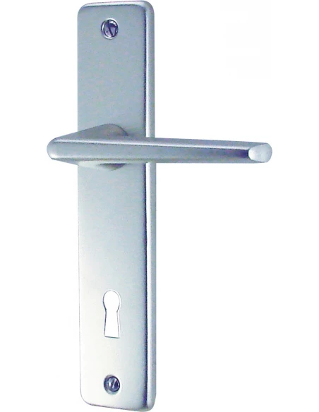 Ensemble poignée sur plaque aluminium argent 165 mm Clé L – GETS (DT 2000)