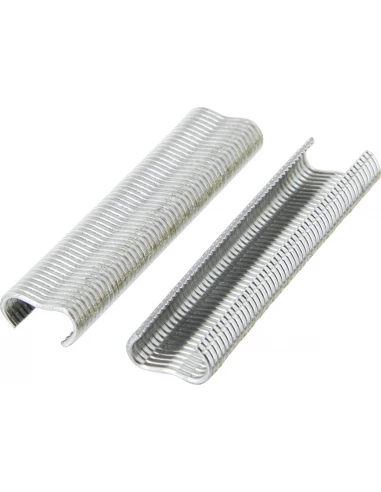 VR16 Galva - Agrafes grillage - Blister 400