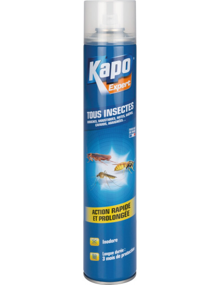 Aérosol sans odeur aérosol 500 ml - KPRO