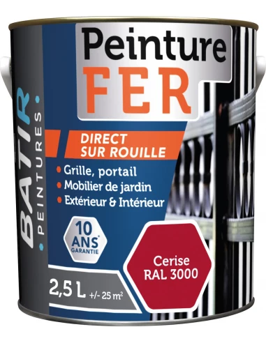 BATIR Fer brillant_2_5l_cerise - BATIR