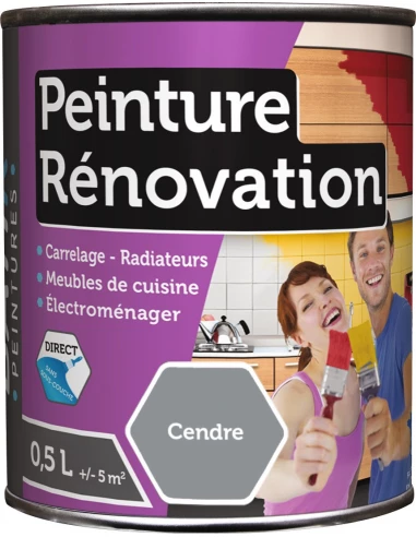 Peinture rénovation multi-surfaces boîte 0,5 l cendre