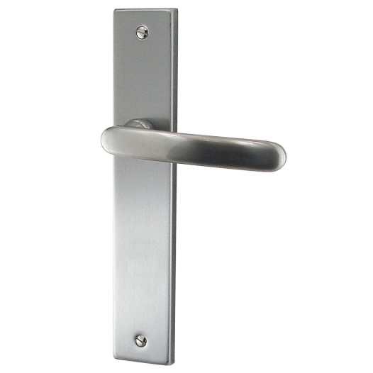 Poignée de porte zamak satinée biarritz bec de cane - DT2000