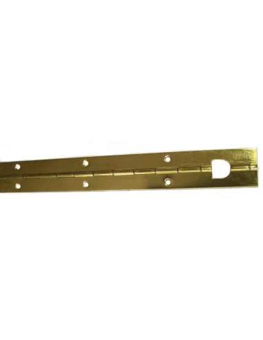 Charnière piano laitonné 480 x 32 l x l (mm) - Strauss Vonderweidt