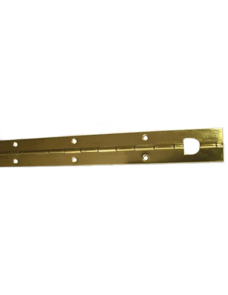 Charnière piano laitonné 480 x 32 l x l (mm) - Strauss Vonderweidt