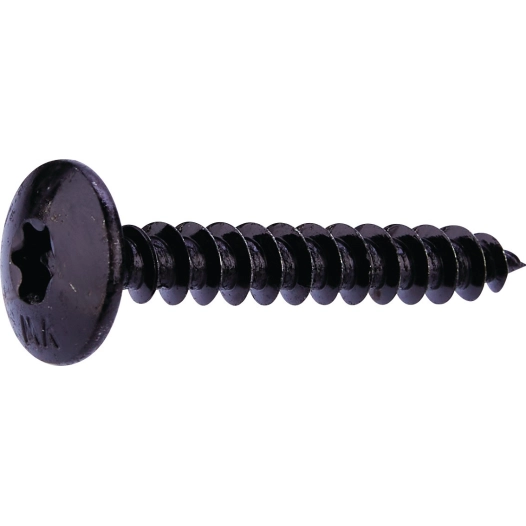 Vis penture 6x40 acier noir tx30 /10 pièces - FIXPRO