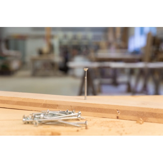 vis ag.fptf pz+ 5,0x80 /50