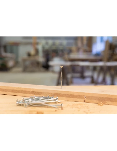 vis ag.fptf pz+ 5,0x80 /50