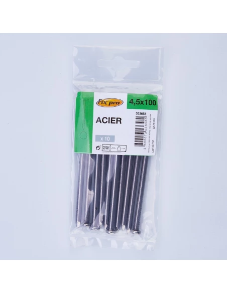 pointe acier tp 3,8x100 /10