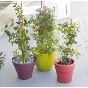 tuteur acier plastifié