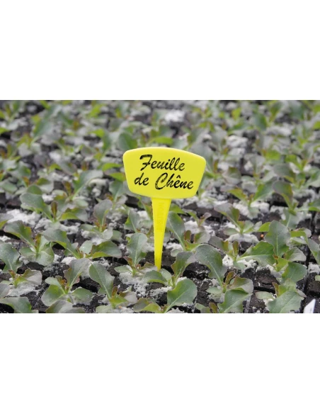 étiquettes planter 15cm /10