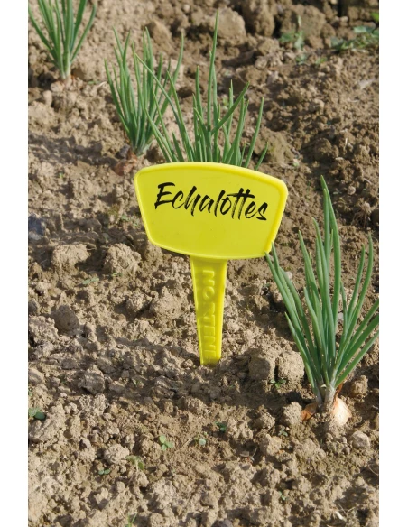 étiquettes à planter 35cm /5