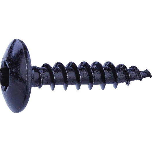 Vis penture 6x30mm acier noir tx T30 / 10 pièces - FIXPRO