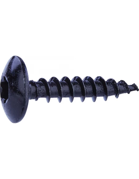 Vis penture 6x30mm acier noir tx T30 / 10 pièces - FIXPRO