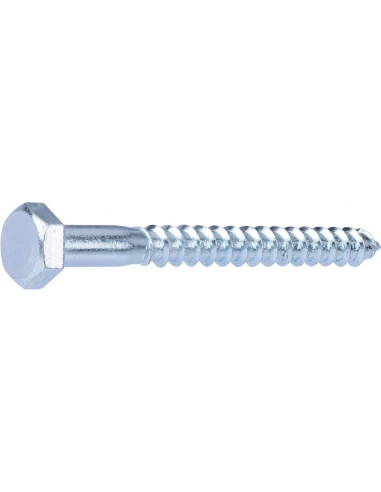 tirefond acier 4.8 10x100 /2