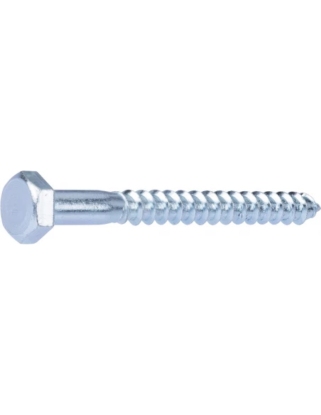 tirefond acier 4.8 10x100 /2