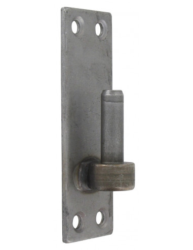 Gond à emparer Torbel 12mm Brut Fixation robuste pour portail lourd - Torbel