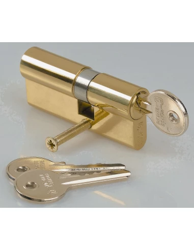 Cylindre de sureté asymétrique 30 x 40