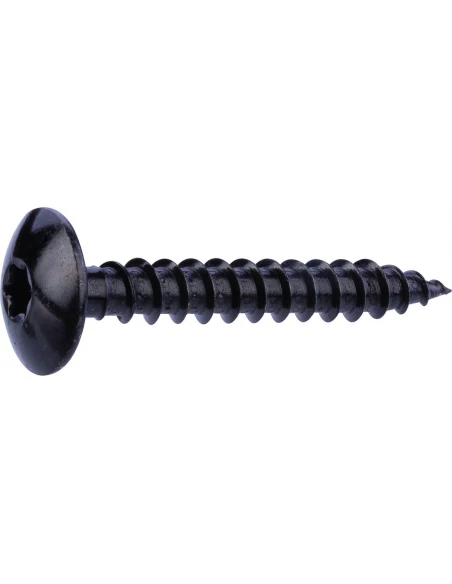 Vis penture 7x50 acier noir TX sachet de 10 - FIXPRO