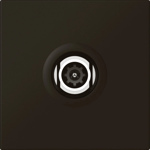 prise tv simple cp nr mosaic