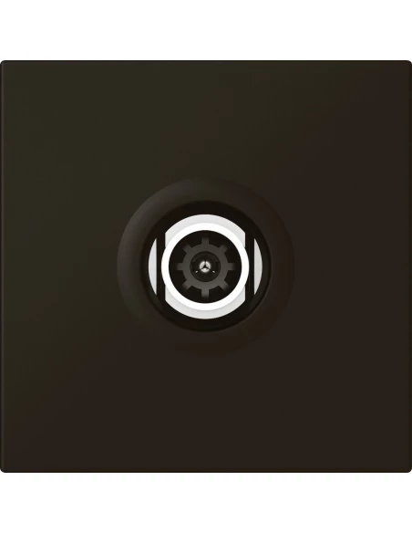 prise tv simple cp nr mosaic