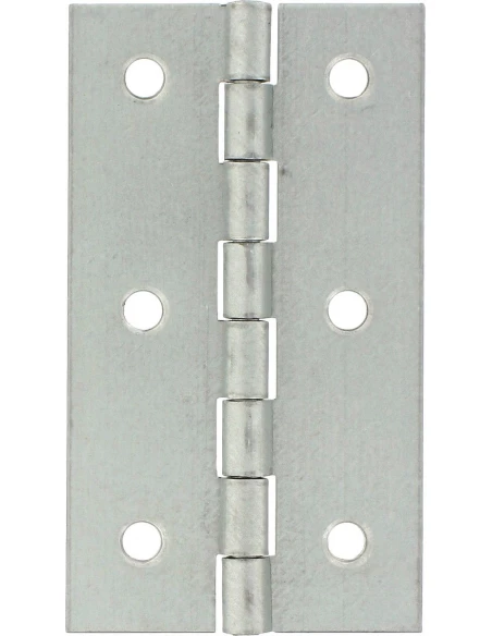 Charnière axe zingué bg 60 x 35 25