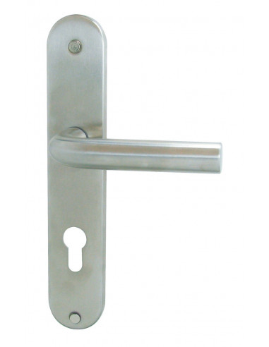 Ensemble Poignée Cylindre Inox Mat Durabilité et design moderne en inox mat. - DT 2000