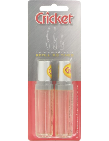 Briquet allume feu cricket 2 recharges