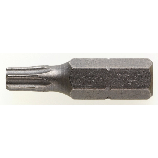 Embout de vissage étoilé 25 mm s2 t25 1