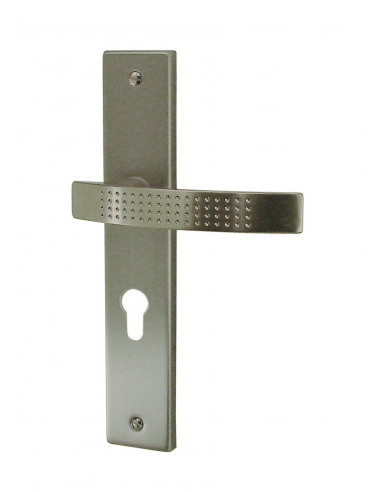 Ensemble Poignée Monza Nickel Satin Design moderne, robustesse Zamak, finition élégante - DT 2000