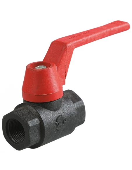 Vanne Sphere Polypro. F/F 1 - RAIN IRRIGATION