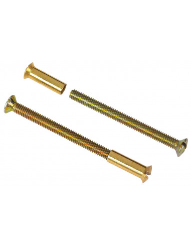 Vis Relieuses Laiton Patiné Fixation décorative robuste - DT 2000